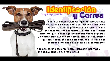 ¿Por ley deben los perros pasear con correa?