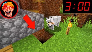 My New dog wouldn’t leave this spot, then we discovered the reason why.. (Minecraft)