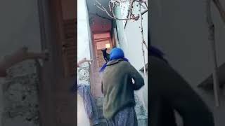 Yaşlı Kadının Köpekle Imtihanı