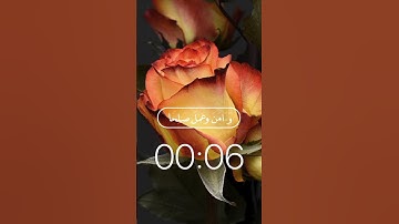 وإني لغفار لمن تاب|سورة طه |القارئ شريف مصطفى
