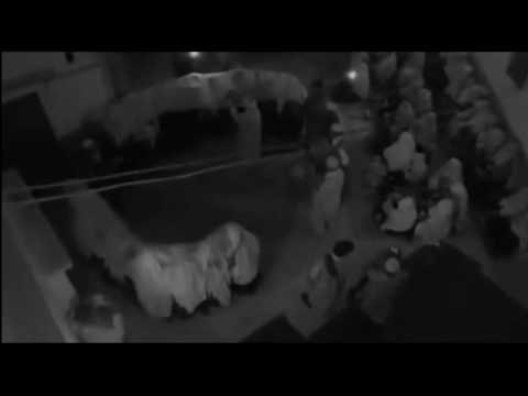 ورقة أخرى تسقط من شجرة فن أحواش