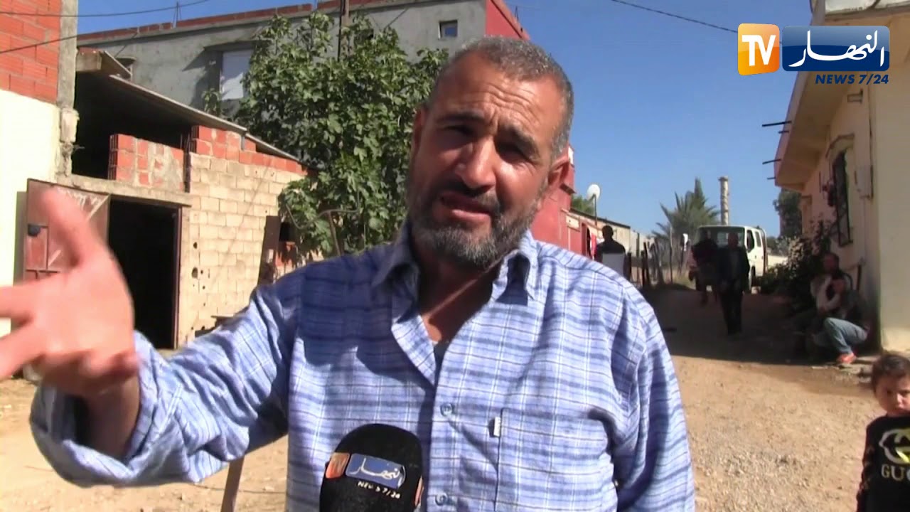 سكيكدة: سقوط كوابل كهربائية تقتل بقرة وأصحابها ينجون من الهلاك بحجار السود