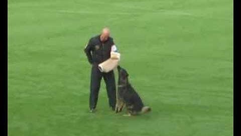 FCI 2008 - Protection - Martin Knudsen