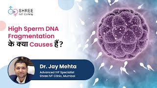 High Sperm DNA Fragmentation के क्या Causes हैं? | Dr Jay Mehta | Shree IVF Clinic