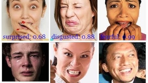 Detect Mood/Expression using face-api.js and AI Models | Building an Emotion Detector App