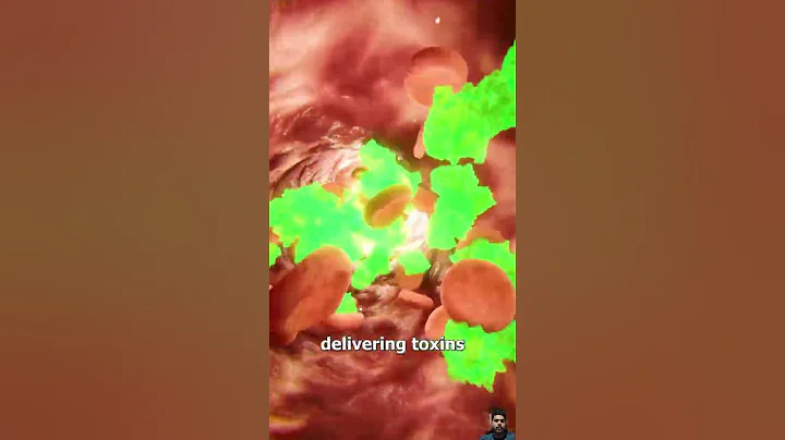 What if a snake bite itself? #animals #venomous #facts #snake #reptiles #science