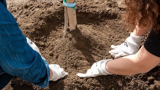Get Your Hands Dirty