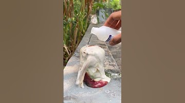Simple elephant toothpaste #ytshorts #shorts #viral #trending #m4tech #sufailsvibes #youtubeshorts