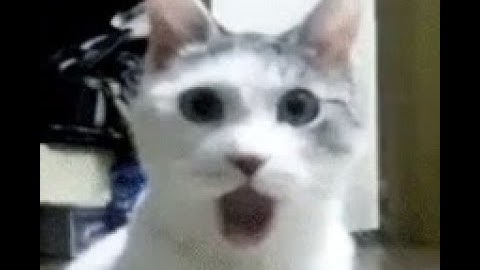 Strongest Battlegrounds One shot Random Moveset Combo