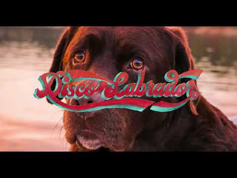 Super! - Disco Labrador (video ufficiale)