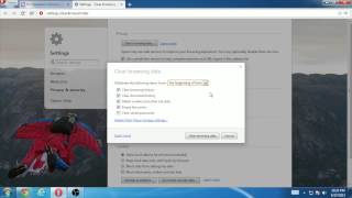 prisa Relativo Mansión How to Clear Cookies and Cache in Opera on Windows - YouTube