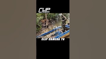 Phát Hiện T.hi T.hể Nam Trên Sông |Cà Mau| #shorts #youtubeshorts #funny #love #short #youtube #song