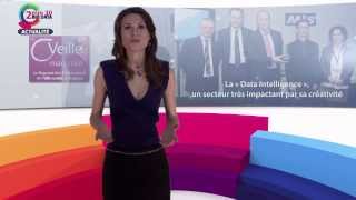 Big Data Tv N 7 - Open Data Avec Henri Verdier