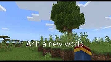 POV: Your a wandering trader in Minecraft