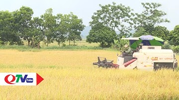 Đẩy mạnh cơ giới hóa trong sản xuất nông nghiệp | QTV
