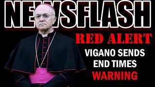 RED ALERT! Archbishop Vigano Sends out a "Prelude to the End Times" Warning in New Interview! screenshot 4