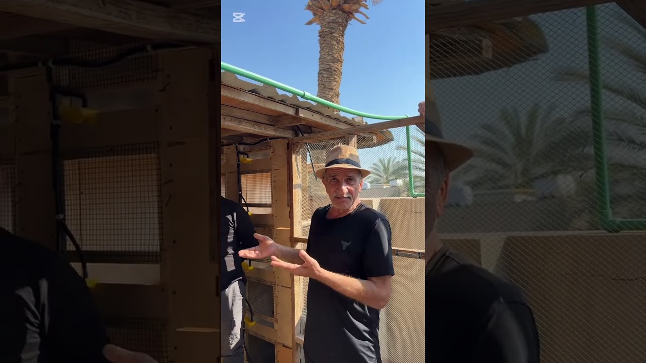 ترتيب ومعلومات مهمة من  الكابتن وليد نعوش