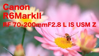 Photographing flowers with the Canon RF70-200mmF2.8 L IS USM Z +