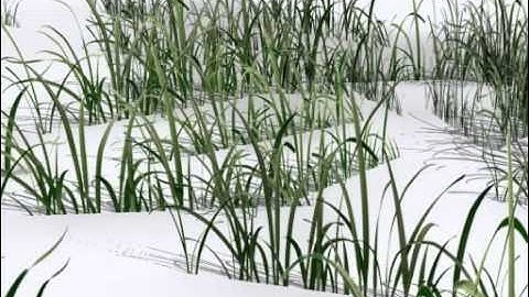 Grass 04 3D model from CGTrader.com