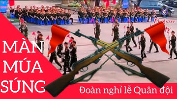 Đoàn nghi lễ quân đội những chiến sỹ biểu diễn màn múa súng