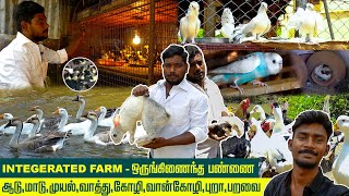 ஒருங்கிணைந்த பண்ணை | Integrated Farming in Tamil | Micheal Farm | Duck,Rabbit,Birds |  Vlog Tamizha