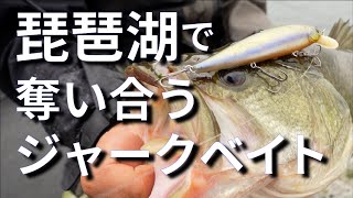 [AVENGE FILM] 礒村雅俊が求めた琵琶湖で使うジャークベイト