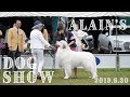 アランのドッグショー　群馬県大利根愛犬クラブ展　Great Pyrenees　グレートピレニーズ