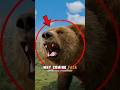 A Bear Charged Him — What Happened Next Saved His Life