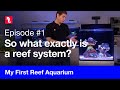 My first reef aquarium episode 1  what exactly is a reef system