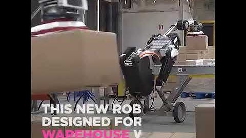 Robot bốc xếp hàng hóa