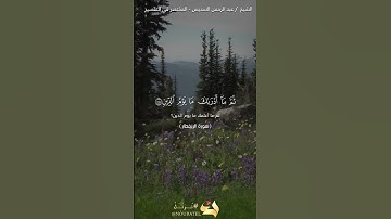 Quran سورة الإنفطار #احمد_الغامدي #اكسبلور #دويتو #duet #نرتل #راحة_نفسية #لايك #حالات_واتس #ترند