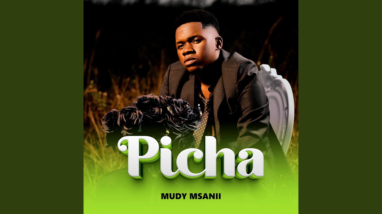 YouTube에서 Picha 보기 YouTube에서 Picha 보기