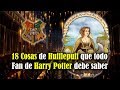 18 Cosas sobre Hufflepuff que todo Fan de Harry Potter debe saber