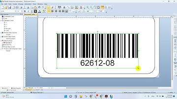 Phần mềm in số nhảy, QrCode biến đổi, Code 128 bến đổi, dữ liệu biến đổi với BarTender