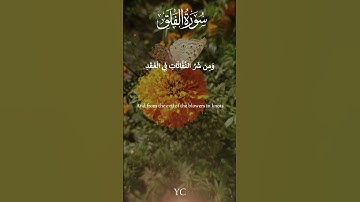 سورة الفلق بصوت الشيخ مشاري راشد العفاسي   | Surah Al-Falaq by Rashid Alafasy