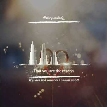 Video literasi: calum scott you are the reason