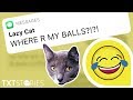 WHERE ARE MY BALLS? | lazy cat episode 22