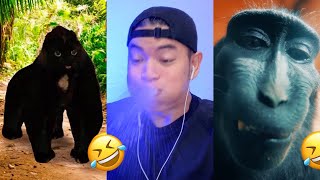 Nonomen funny video😂😂😂 BEST Nonomen Funny Try Not To Laugh Challenge Compilation 🤣