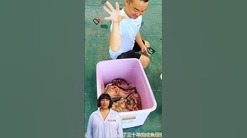 #fcnfm #machine Create a Sustainable Supply Chain: How Drying Machines Revolutionize Food Processing