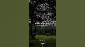 إذ جاؤوكم من فوقكم ومن أسفل منكم ||#ياسر_الدوسري سورة الأحزاب