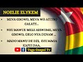 Gospel togolais  noelie elykem  mevagbowo meva woatitso galate nyemawu mele asiwome gblonya denam