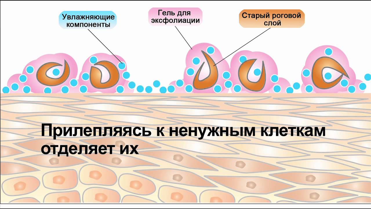 Французская косметика la roche-posay. [rovectin] лосьон для лица skin essentials treatment lotion, 100 мл. Аптечная косметика la roche posay. Лечебная косметика la roche posay. Lavera крем для лица.
