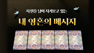 [타로] 내 영혼의 메시지가 도착했습니다!  조용한 시간에 들어보세요!