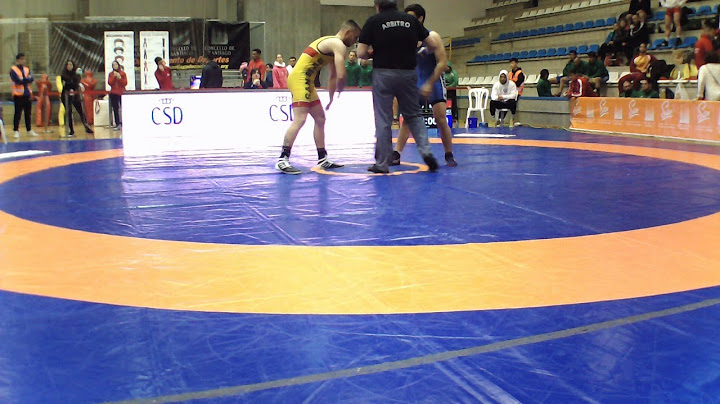 Tapiz 2 - Campeonato de España Senior Luchas Olímpicas 2019