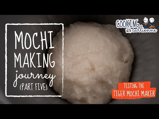 Home-use Japanese Mochi Maker, Rice-Cake Maker RM-201SN