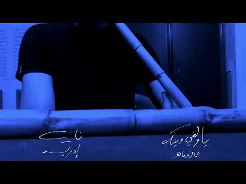 يا ولفي وينك ناي