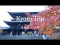 [ 京都ひとり旅 ] 静かで美しい京都を歩く2泊3日｜紅葉を愉しむ50代の一人旅｜ 京都旅行
