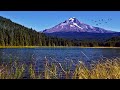 Mountain lake ambience  relaxing nature sounds birds singing and lapping water with soothing wind