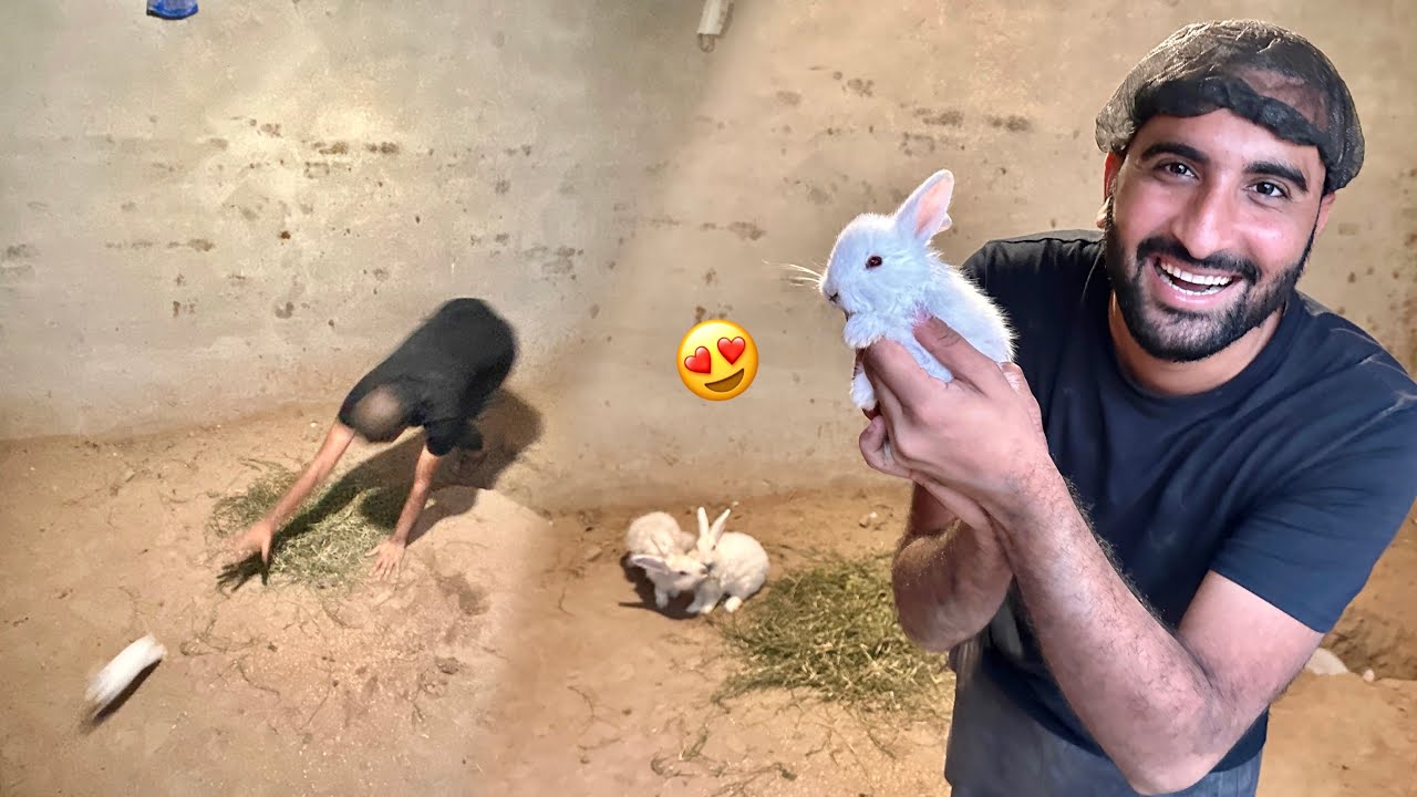 Rabbits Ka Baby Pkr Lia Aj Bht Cute hai😍