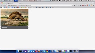 CSS image Hover effect part 2- Css Tutorial - Pure Css3 Hover Effect - Plz SUBSCRIBE Us